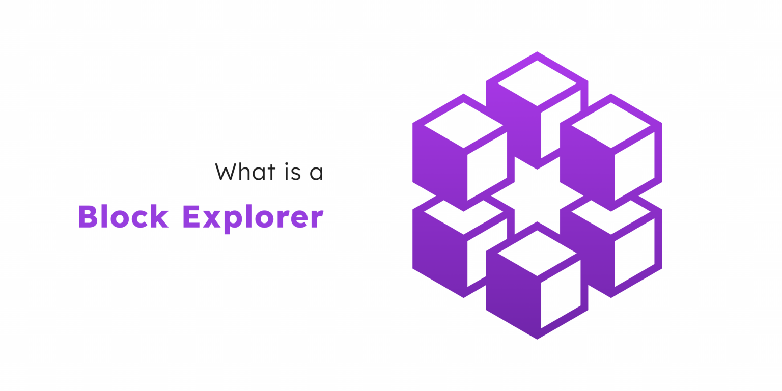 What is a block explorer? Zelta