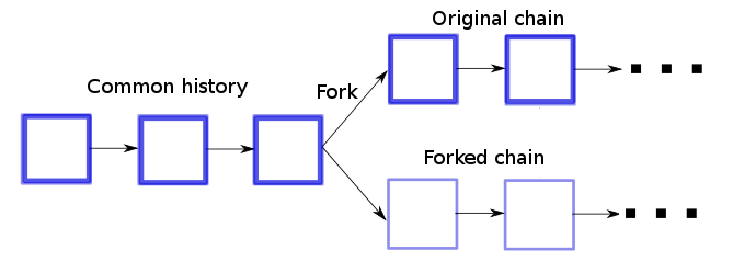 Blockchain Forks Zelta