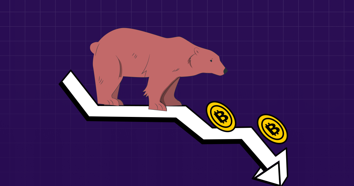 Crypto Bear Market Zelta